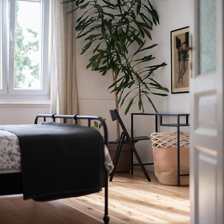 Val Maistro Apartment Ζαντάρ Εξωτερικό φωτογραφία